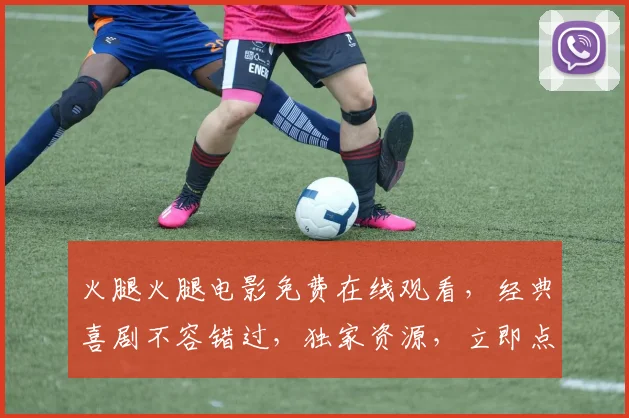 火腿火腿电影免费在线观看，经典喜剧不容错过，独家资源，立即点击