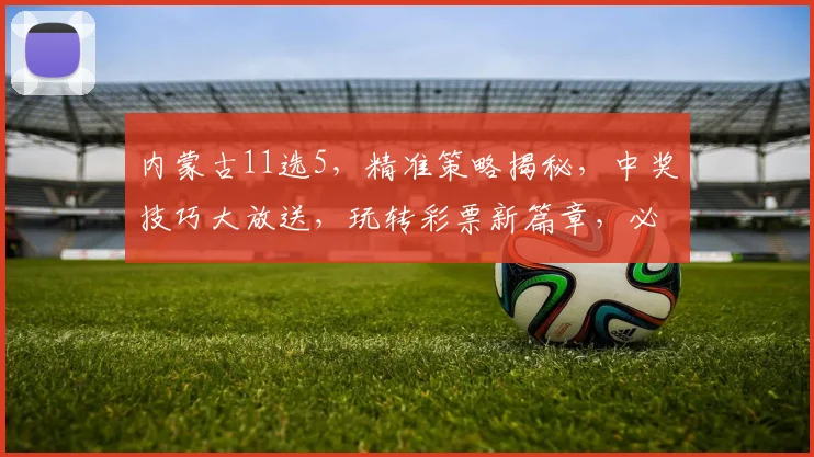 内蒙古11选5，精准策略揭秘，中奖技巧大放送，玩转彩票新篇章，必看攻略